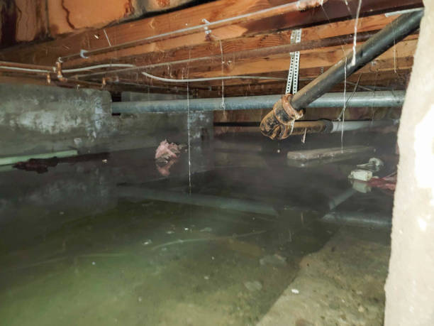 Best Residential water damage restoration  in Abilene, TX