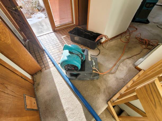 Best 24/7 water damage repair  in Abilene, TX