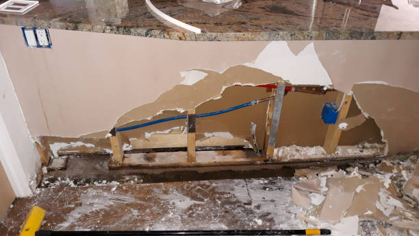 Best Mold removal after water damage  in Abilene, TX